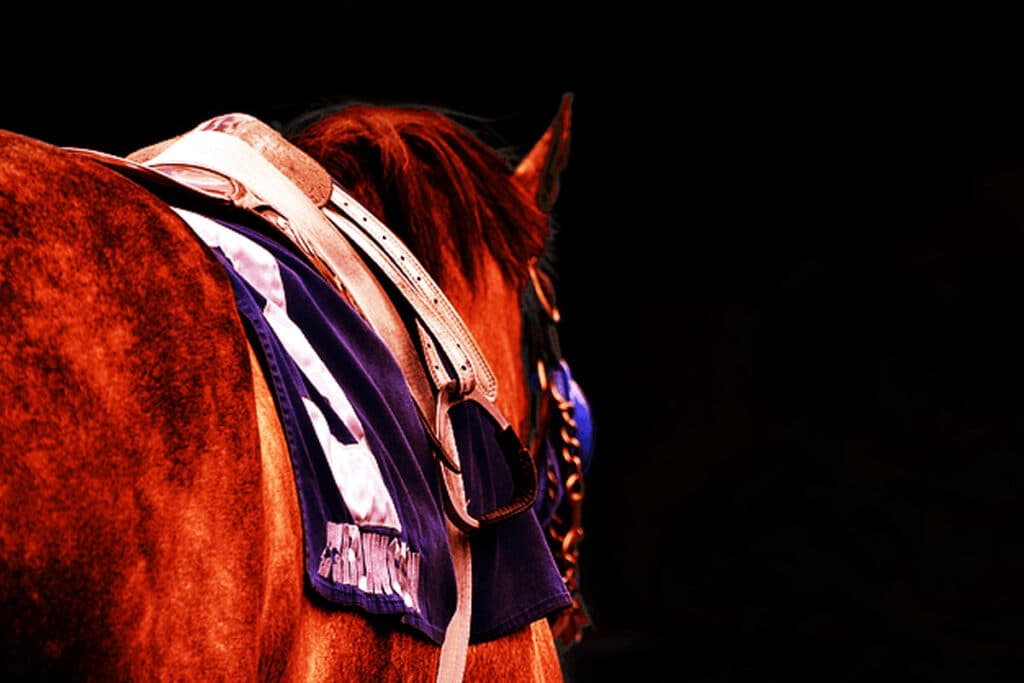 【六社ステークス2024予想】狙い目は東京巧者のワイドエンペラー