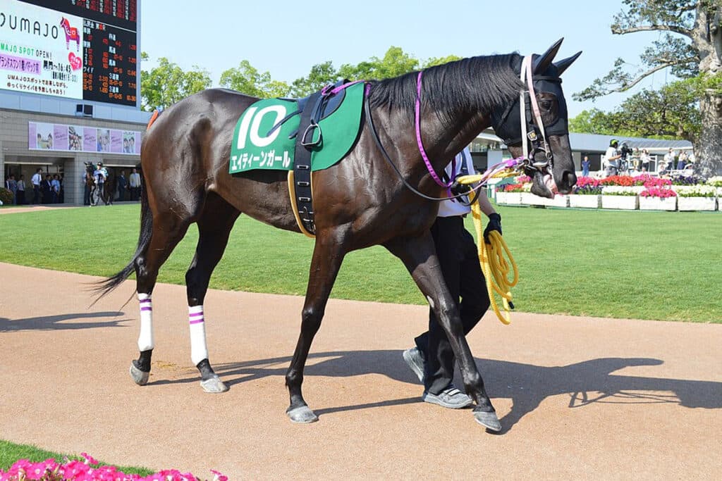 スプリント重賞の常連エイティーンガール、引退で繁殖入りへ