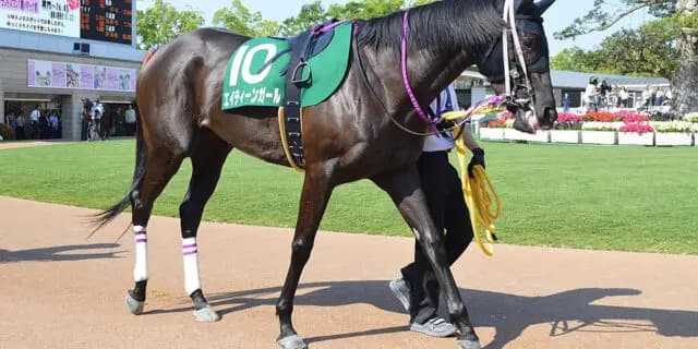 スプリント重賞の常連エイティーンガール、引退で繁殖入りへ