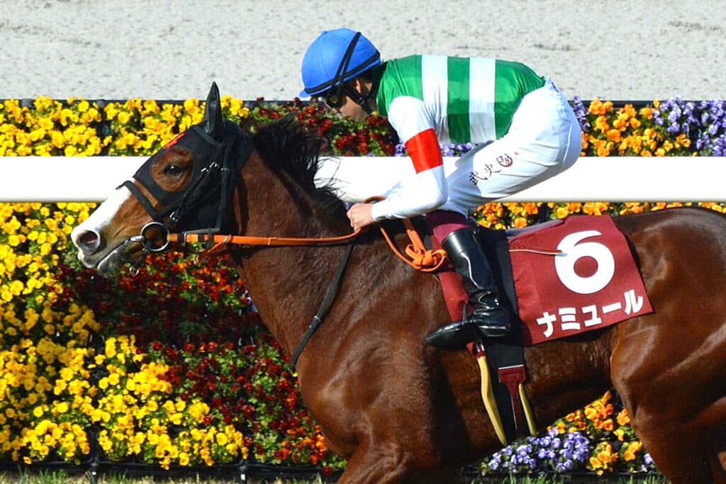 【東京新聞杯2023予想】ナミュールここは通過点、まずは得意距離で反撃だ