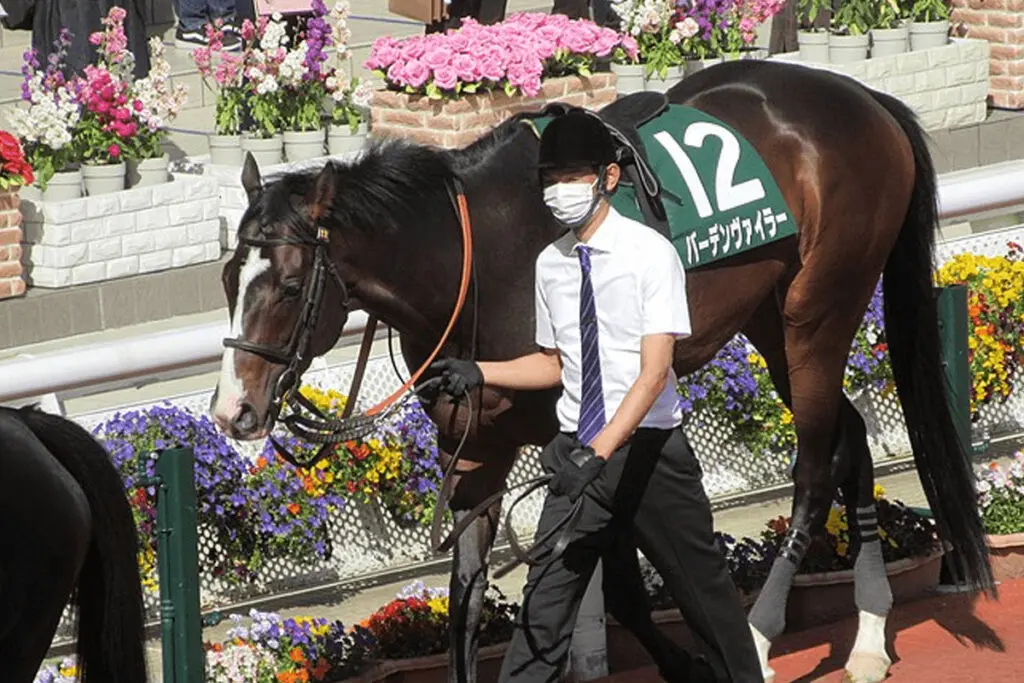 【佐賀記念2023予想】バーデンヴァイラー〝確勝級〟か?カギは気性面