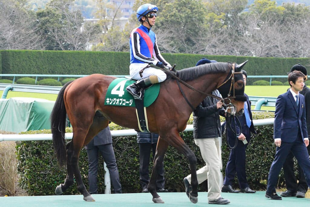 【JRA】ロードカナロア産駒系では〝異色タイプ〟のキングオブコージが種牡馬入り