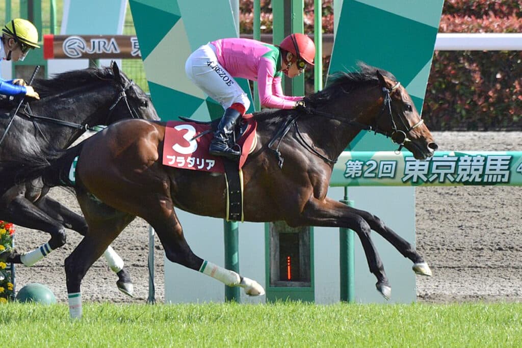 宝塚記念・4着のプラダリアは京都大賞典から香港ヴァーズへ