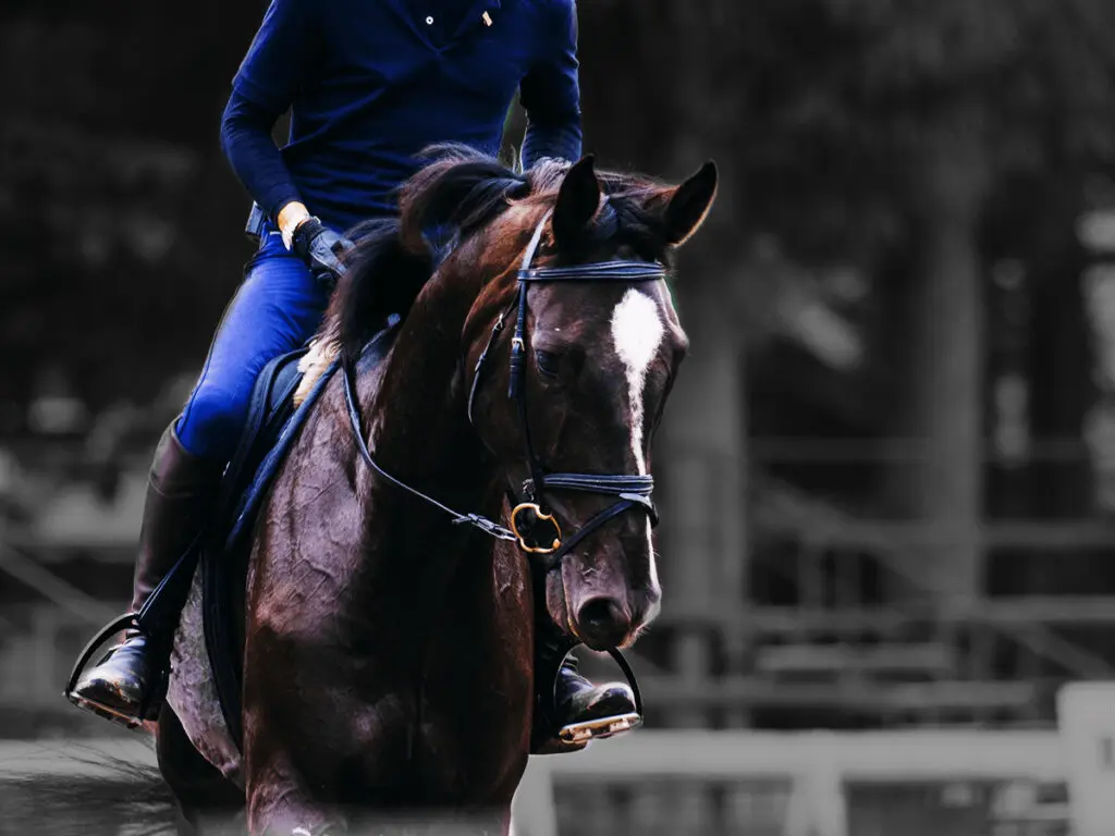 【ドバイゴールデンシャヒーン2023予想】最強の助っ人を鞍上に得た〝あの馬〟の大駆けに期待!