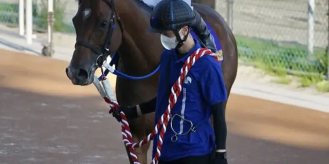 ダート界の英雄イグナイターが引退、来年から種牡馬入り