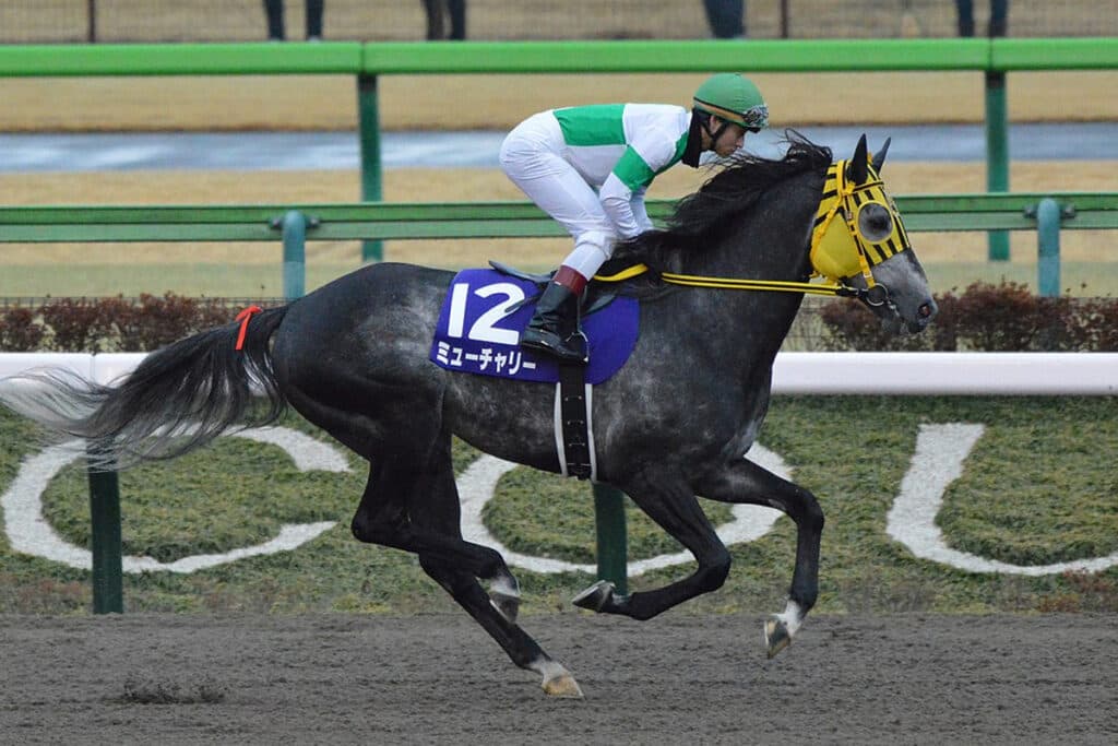 【ダイオライト記念2023予想】伏兵が付け入る隙は十分!〝狙い目〟の1頭とは?