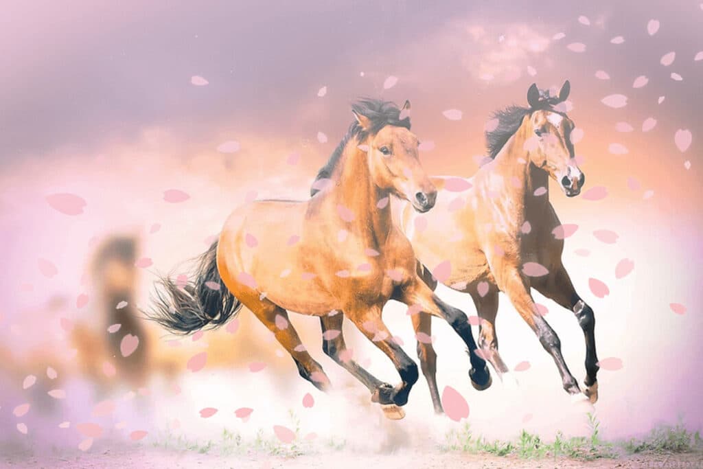 【高松宮記念2023予想】春のスプリント王決定戦!ナムラクレアやメイケイエールなど出走予定馬を考察