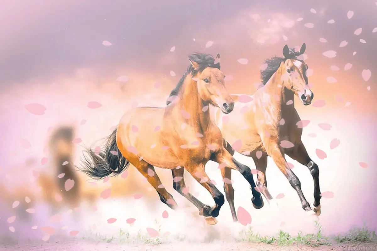 【桜花賞2023予想】3歳牝馬“三冠”の1戦目!リバティアイランドやライトクオンタムなど出走予定馬を考察