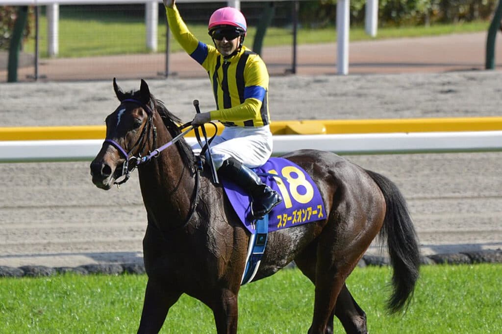 【JRA】スターズオンアースは天皇賞・秋へ