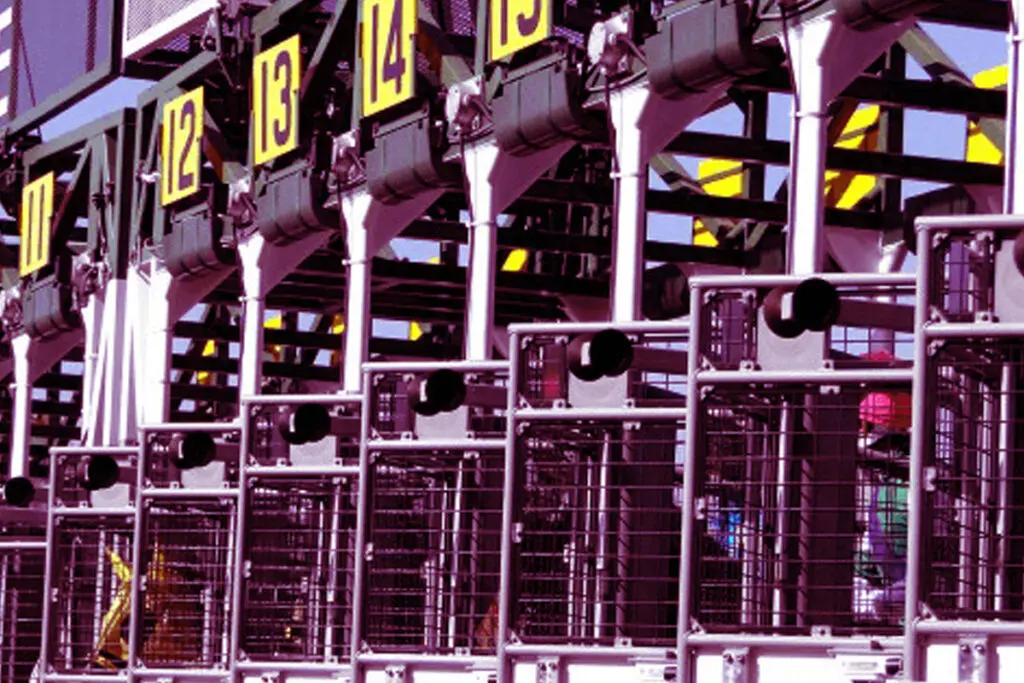 【阪神JF2025】アランカールやスターアニスなど、26頭が登録