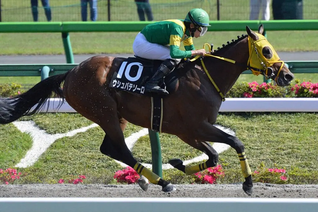 【BCクラシック2023】ドバイWC覇者ウシュバテソーロ、ダートの最高峰BCクラシック挑戦