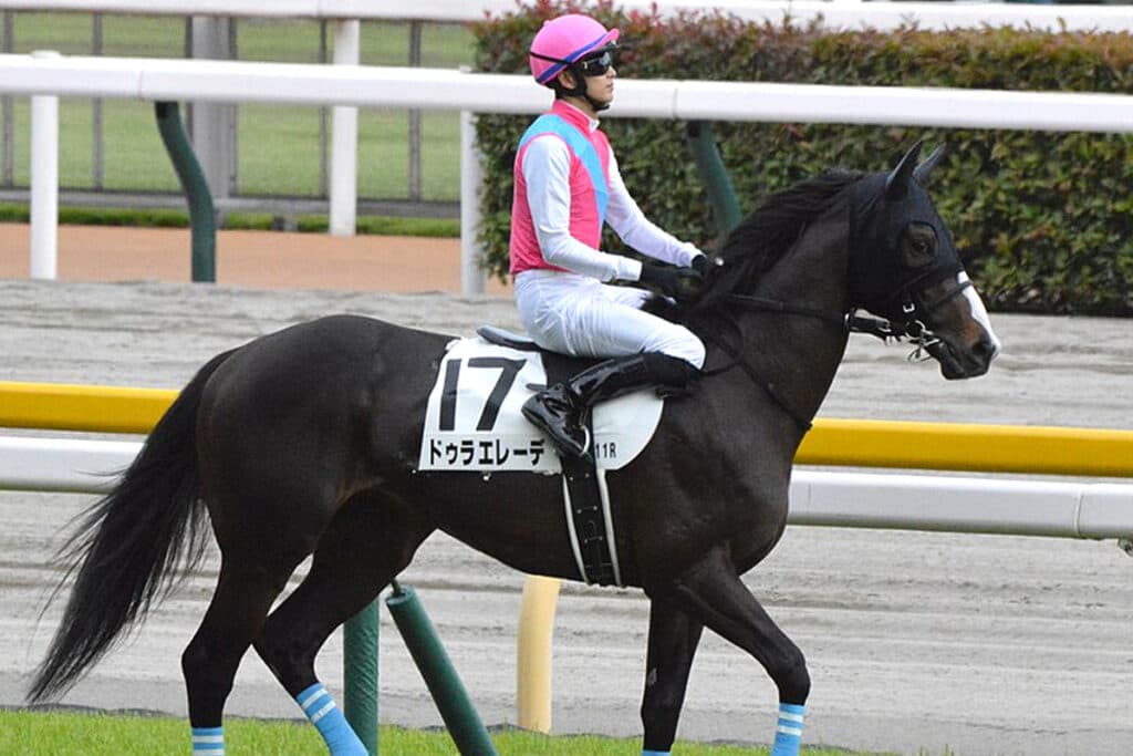 【セントライト記念2023】宝塚記念10着のドゥラエレーデ、坂井瑠星騎手とのコンビで巻き返し図る