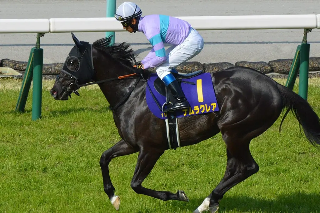 【スプリンターズS2025】ナムラクレアが1週前追い切りで併せ馬を圧倒、好仕上がりをアピール