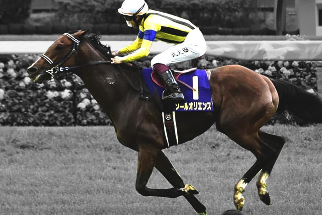 【JRA】ソールオリエンスは京都記念から始動、ジャパンC・14着から巻き返し狙う