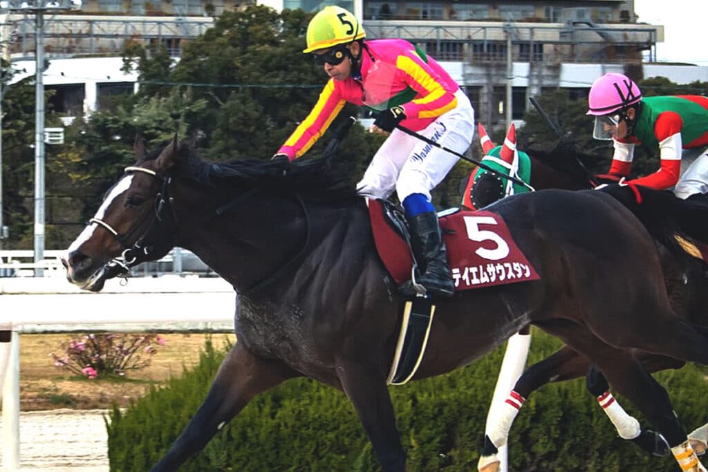 【浦和記念2023予想】実績馬テイエムサウスダン、近走不振も新味は出るか?