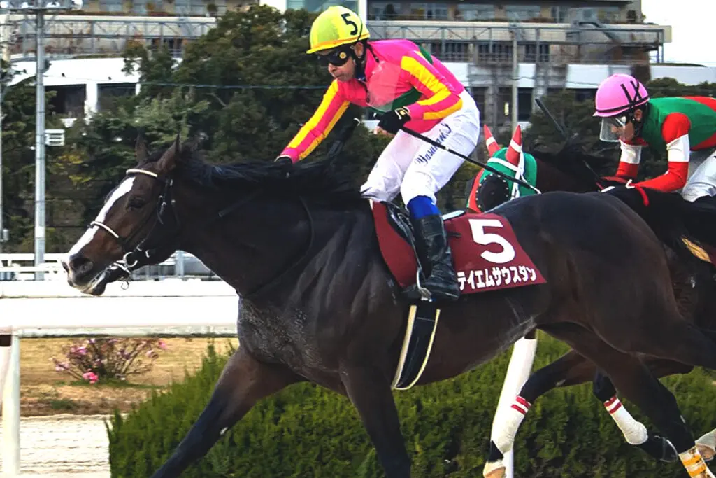 【浦和記念2023予想】実績馬テイエムサウスダン、近走不振も新味は出るか?