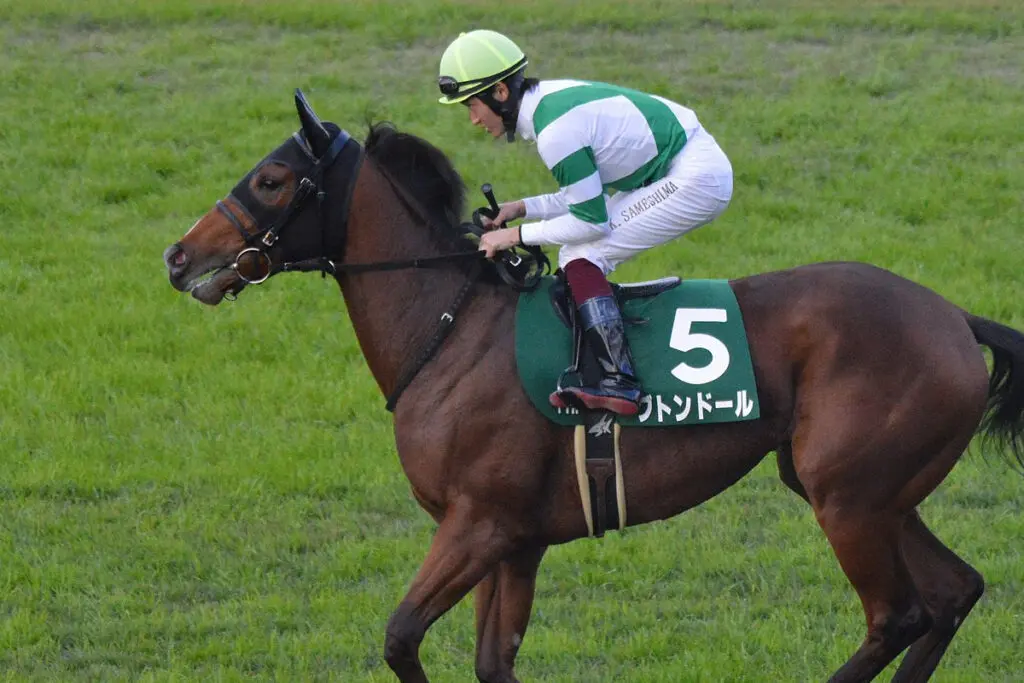 【JRA函館スプリントS予想2023】ブトンドールの2つの〝危険サイン〟とは?