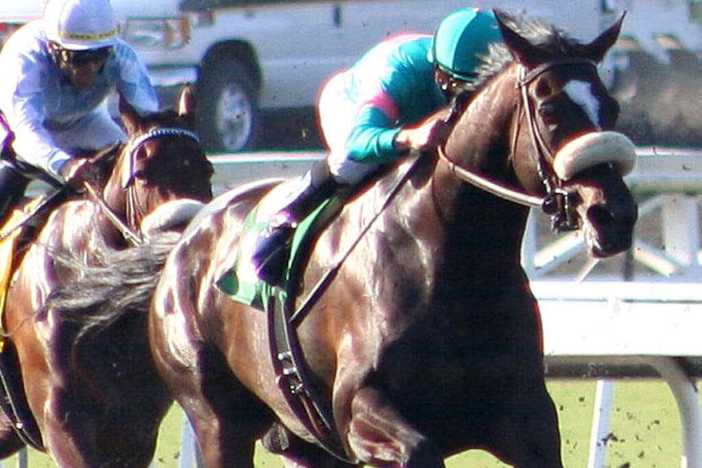 【海外競馬】G1・13勝の名牝ゼニヤッタが繁殖牝馬を引退