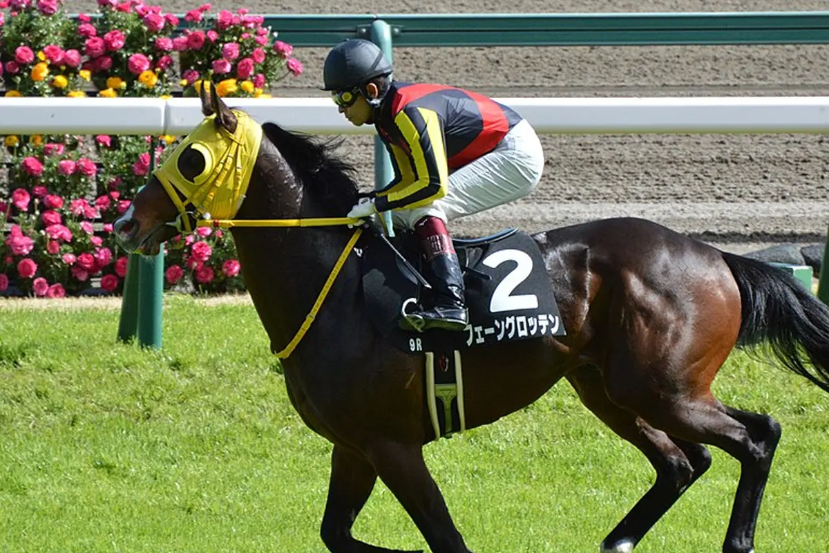 【七夕賞2023予想】逃げ馬候補のフェーングロッテンに〝危険サイン〟あり?