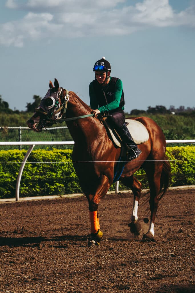 ビギナー必見!競馬の賭け方のヒントとコツをご紹介