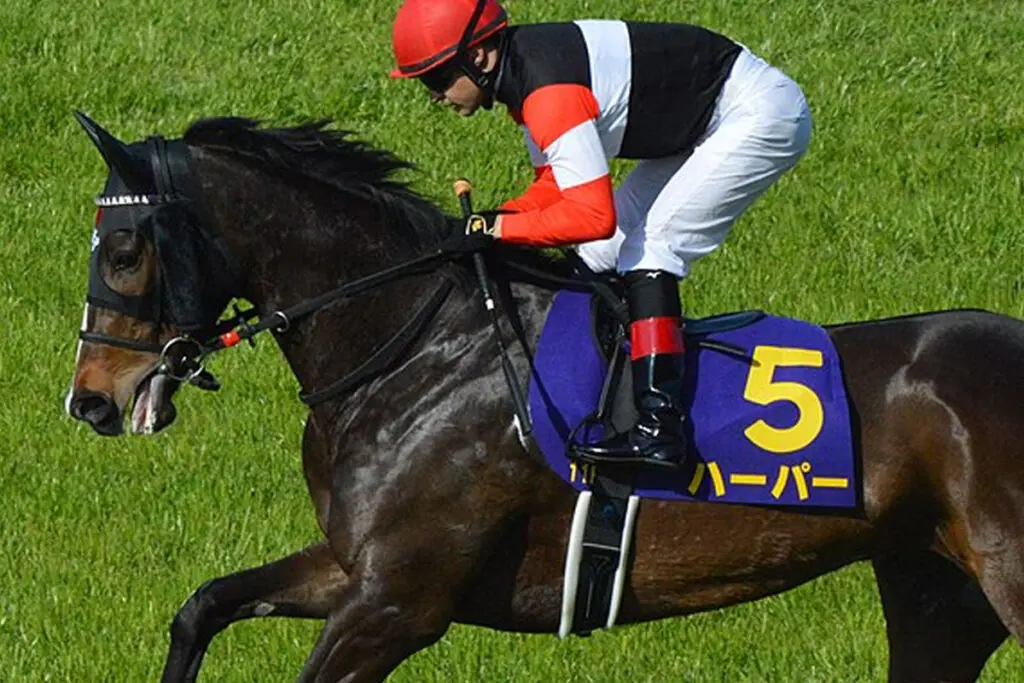 【エリザベス女王杯2023予想】安定感抜群のハーパー、善戦マン返上となるか?