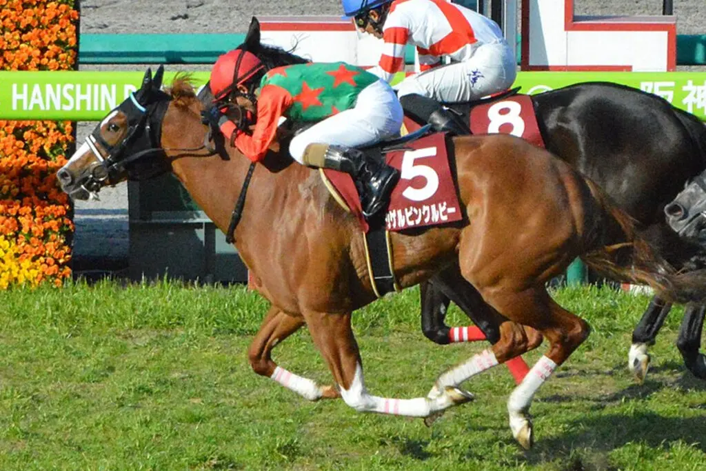 【JRA北九州記念2023予想】シゲルピンクルビー長期休養明けでも狙える仕上がり