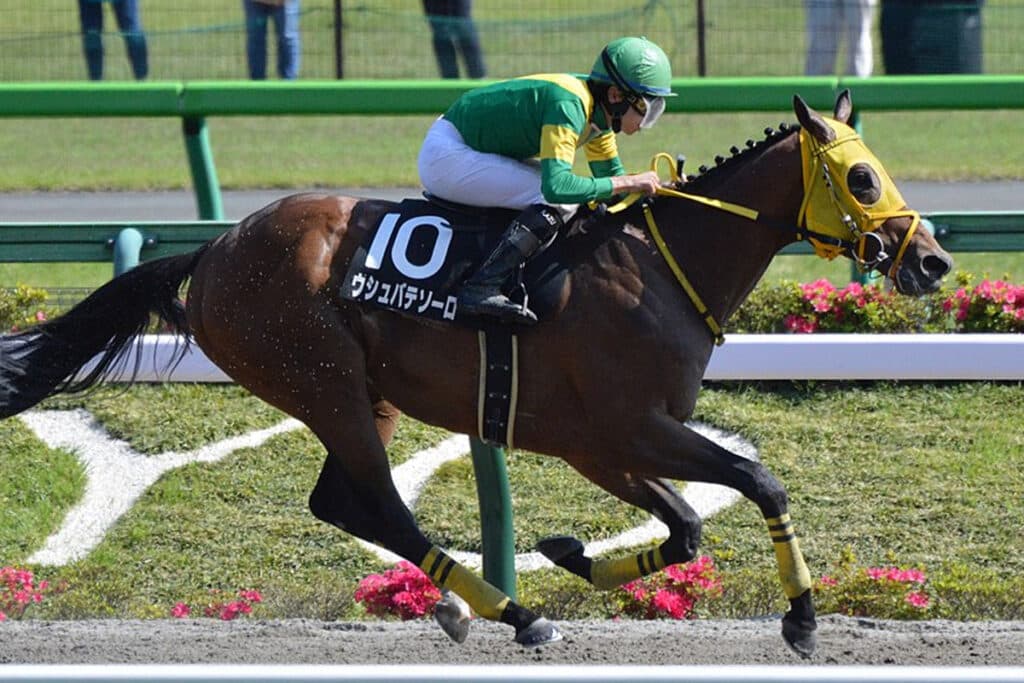 【JRA】ウシュバテソーロが引退・種牡馬入り、獲得賞金26億は日本調教馬の歴代トップ