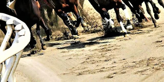 【プロキオンS予想2026】ロードクロンヌ中心も混戦、世代と実績が交錯する注目のダートG2