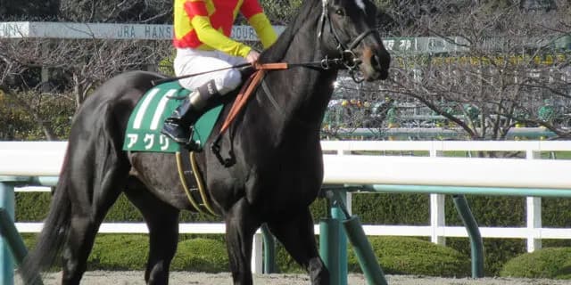 【CBC賞2024予想】アグリ、地力は上位も危険な人気馬?