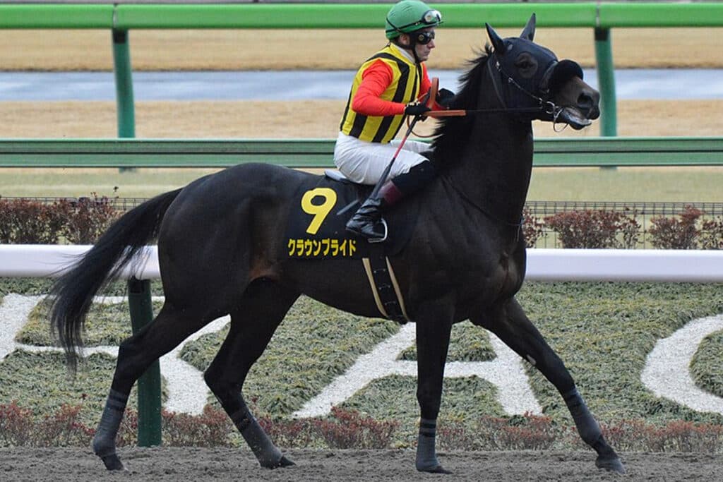 【マーキュリーカップ2025予想】クラウンプライド復活へ!ダート戦線で存在感示すか?