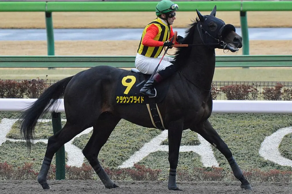 【マーキュリーカップ2025予想】クラウンプライド復活へ!ダート戦線で存在感示すか?