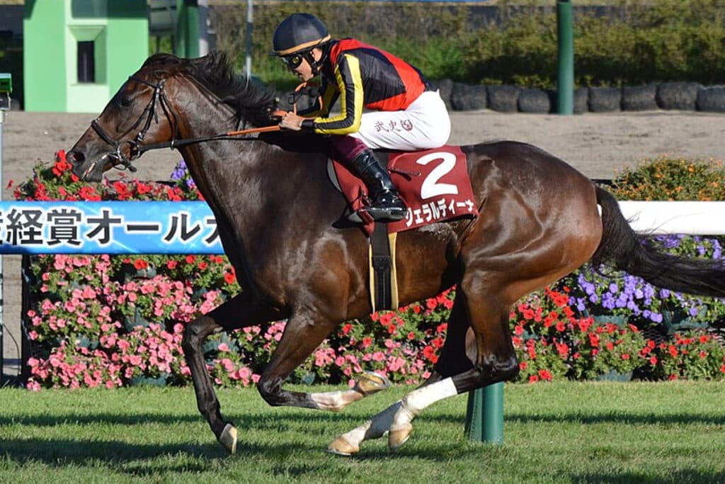 【オールカマー2023】ジェラルディーナは危険な人気馬?複数の不安要素アリ