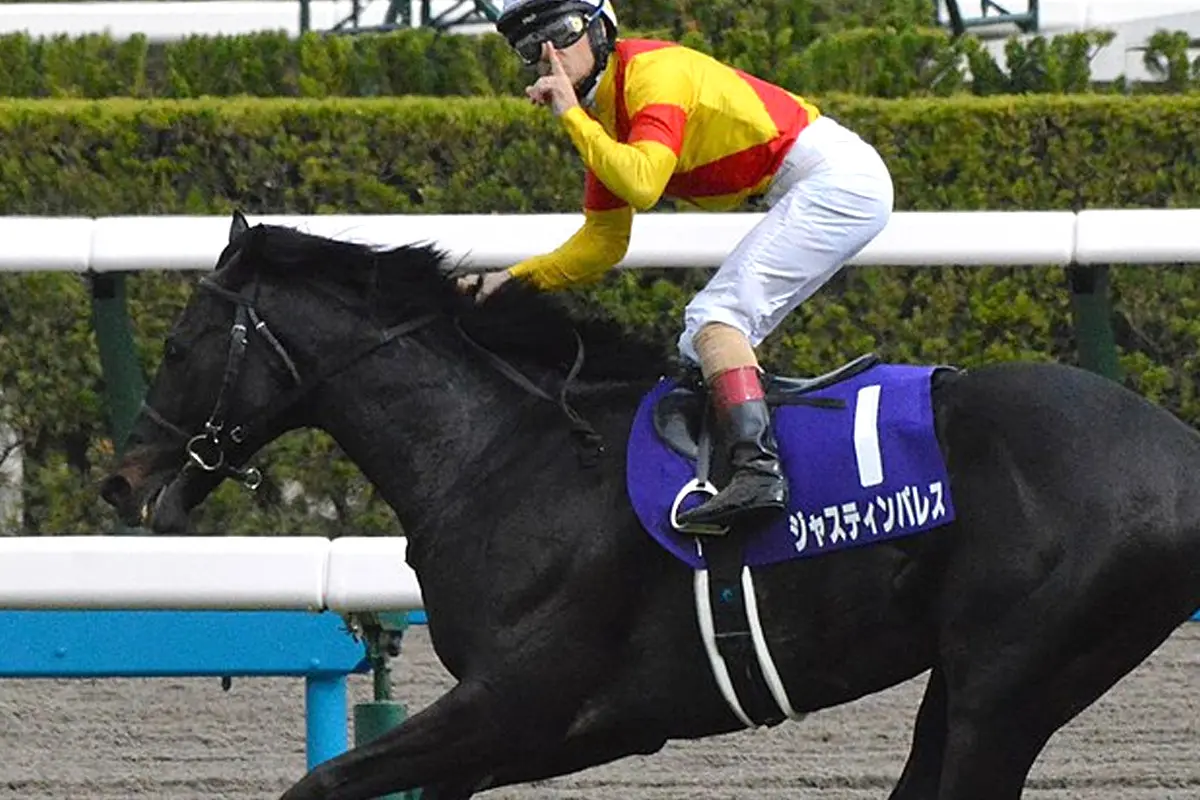 【JRA】ジャスティンパレスはジャパンCへ