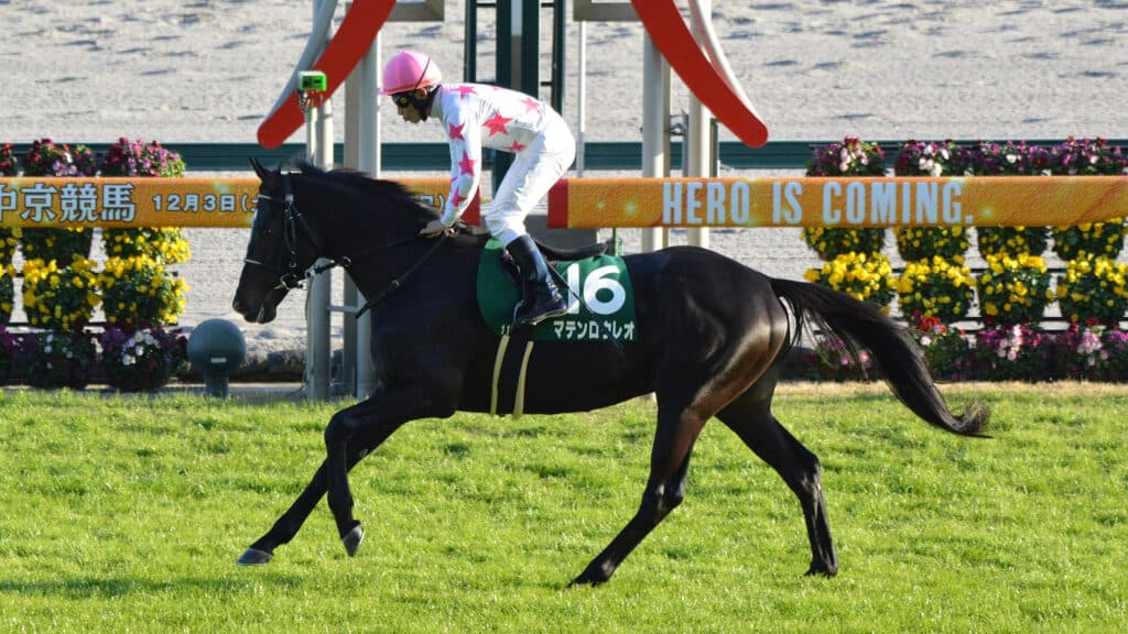 【オールカマー2023予想】良馬場&ハイペースならマテンロウレオ、巻き返しの期待十分