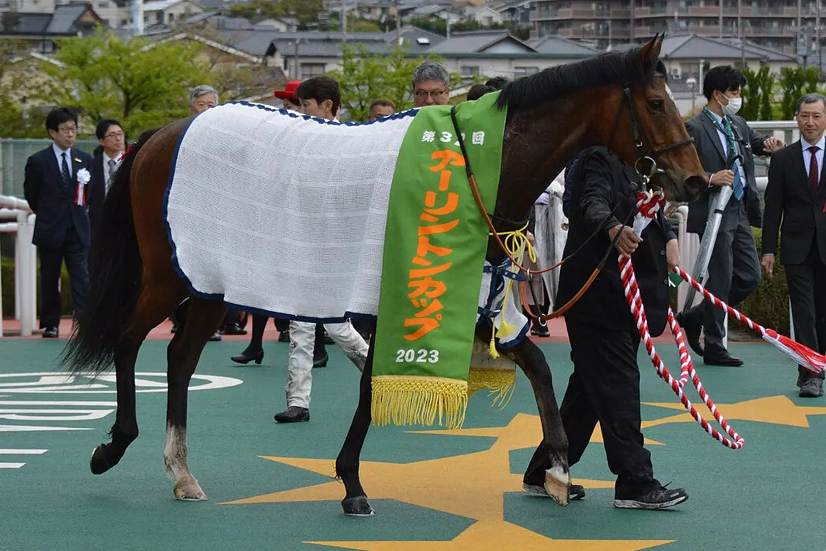 【JRA】オオバンブルマイは武豊騎手とのコンビで賞金総額1000万豪ドルのビッグレース「ザ・ゴールデンイーグル」へ遠征