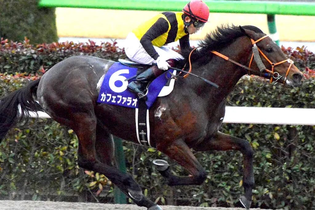 【JRA】重賞5勝のカフェファラオが引退、種牡馬入り