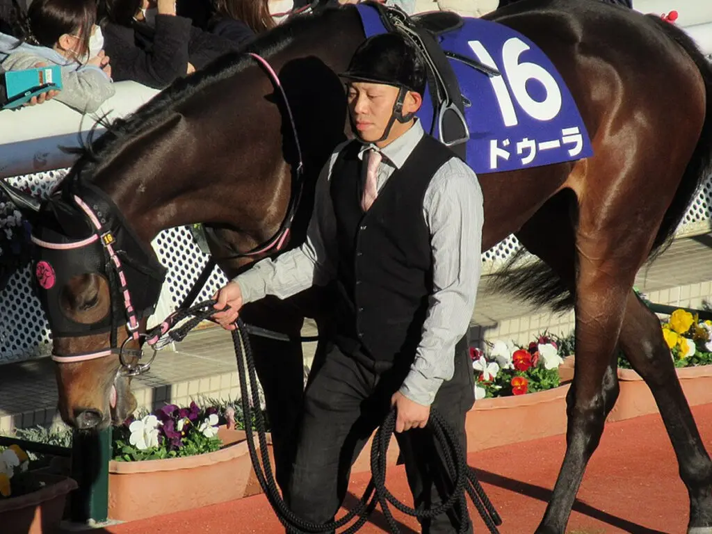 【JRA】ドゥーラは屈腱炎で1年以上の休養、エリザベス女王杯は見送り