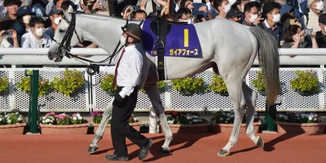 【安田記念2025予想】2年連続4着の雪辱なるか?ガイアフォース、三度目の正直へ