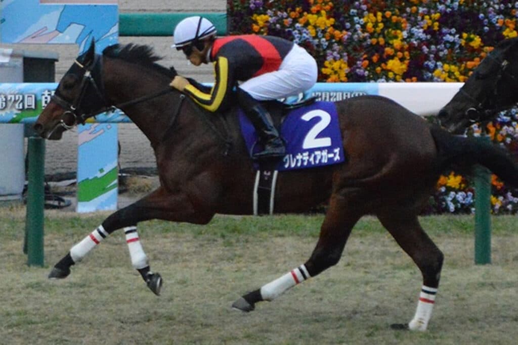 【スワンステークス予想2023】グレナディアガーズは“馬場”と“展開”がカギ