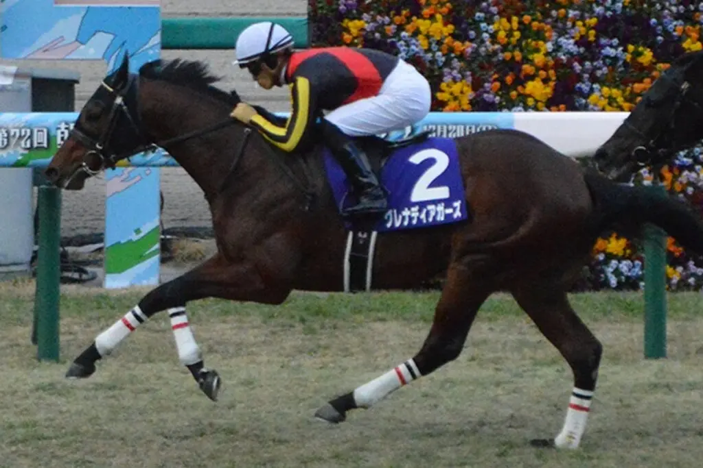 【スワンステークス予想2023】グレナディアガーズは“馬場”と“展開”がカギ