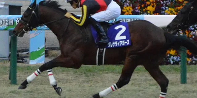 【スワンステークス予想2023】グレナディアガーズは“馬場”と“展開”がカギ