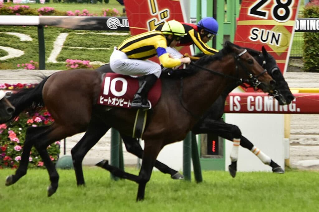 【アルゼンチン共和国杯2023予想】ヒートオンビート条件好転で反撃!得意舞台で改めて期待