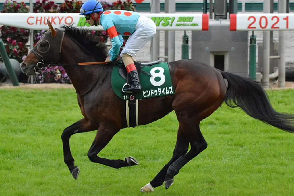 【京都大賞典2023予想】伏兵ヒンドゥタイムズ、距離延長で激走期待