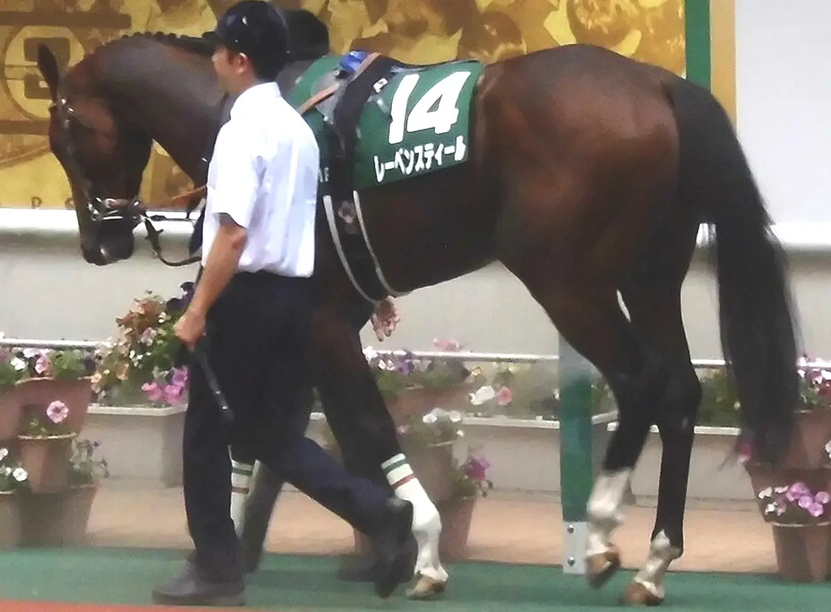 セントライト記念の覇者レーベンスティールは香港ヴァーズへ