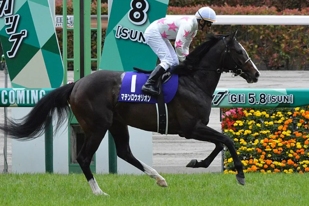 【富士ステークス2023予想】マテンロウオリオン✕田辺裕信騎手、乗り替わりで変わり身期待