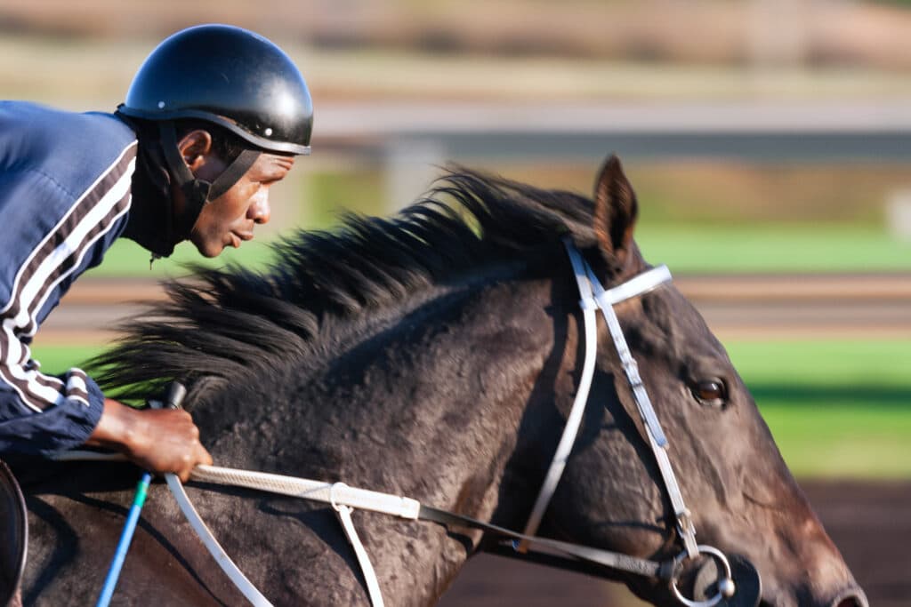 胸が高鳴る!競馬場のファンファーレの秘密に迫る
