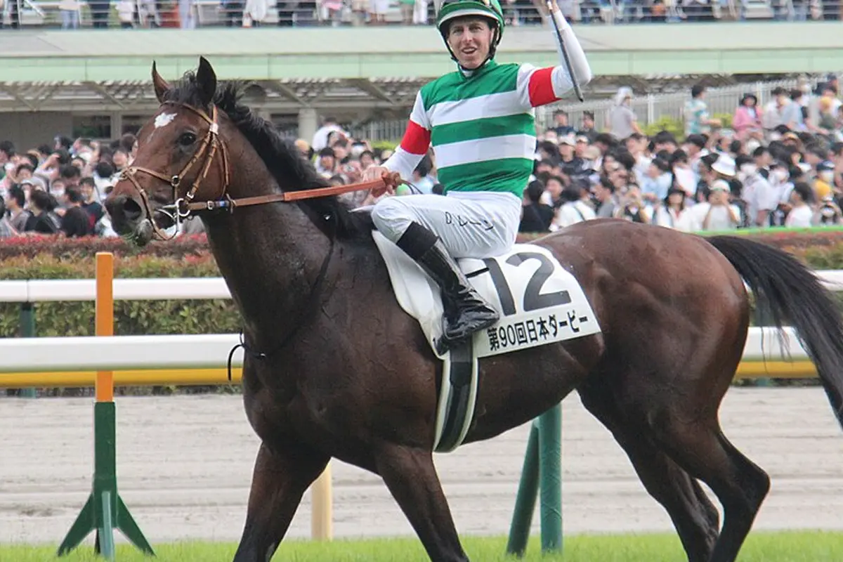 【菊花賞2023予想】タスティエーラ、折り合い操縦性に不安なし