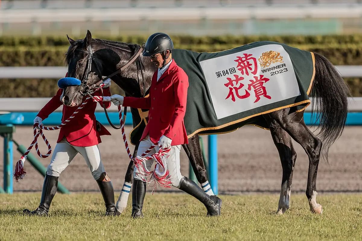 【JRA】菊花賞を快勝したドゥレッツァ、有馬記念を回避し年内休養