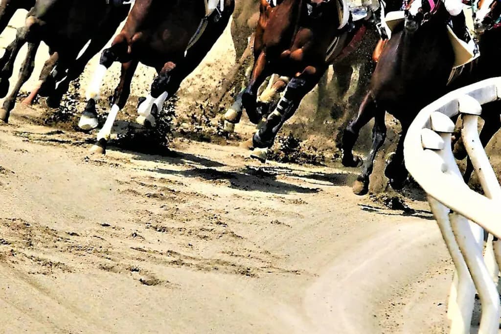 【東海ステークス2025予想】プロキオンSと入れ替わった真夏の古馬ダート重賞!ビダーヤやヤマニンウルスなど出走予定馬を考察