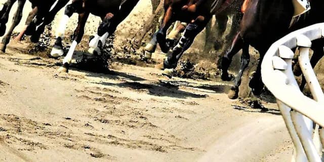 【武蔵野ステークス予想2025】砂の王者を目指す強豪が集結!コスタノヴァやオメガギネスなど出走予定馬を考察